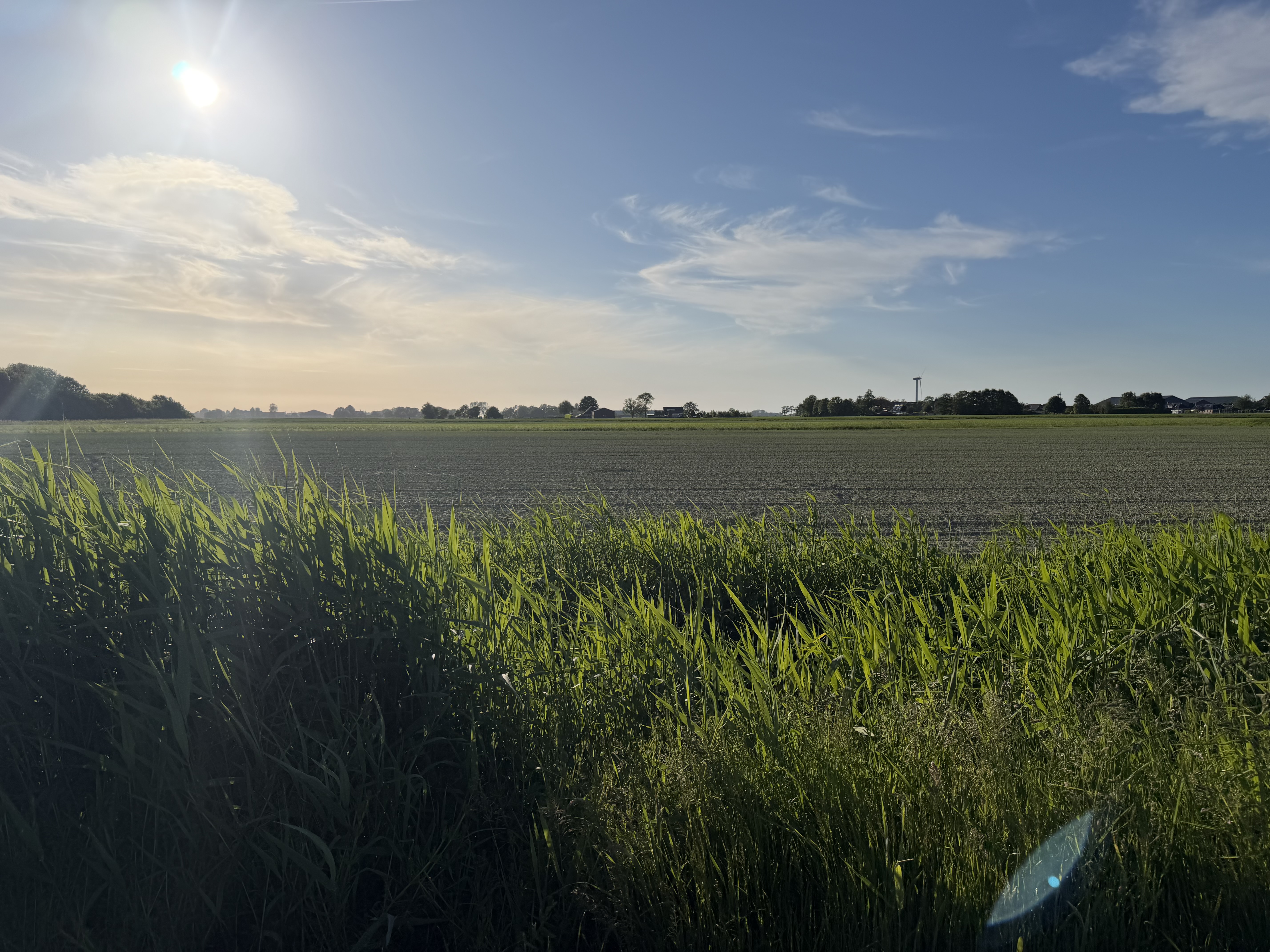 Buurtvereniging De Lange Pijp